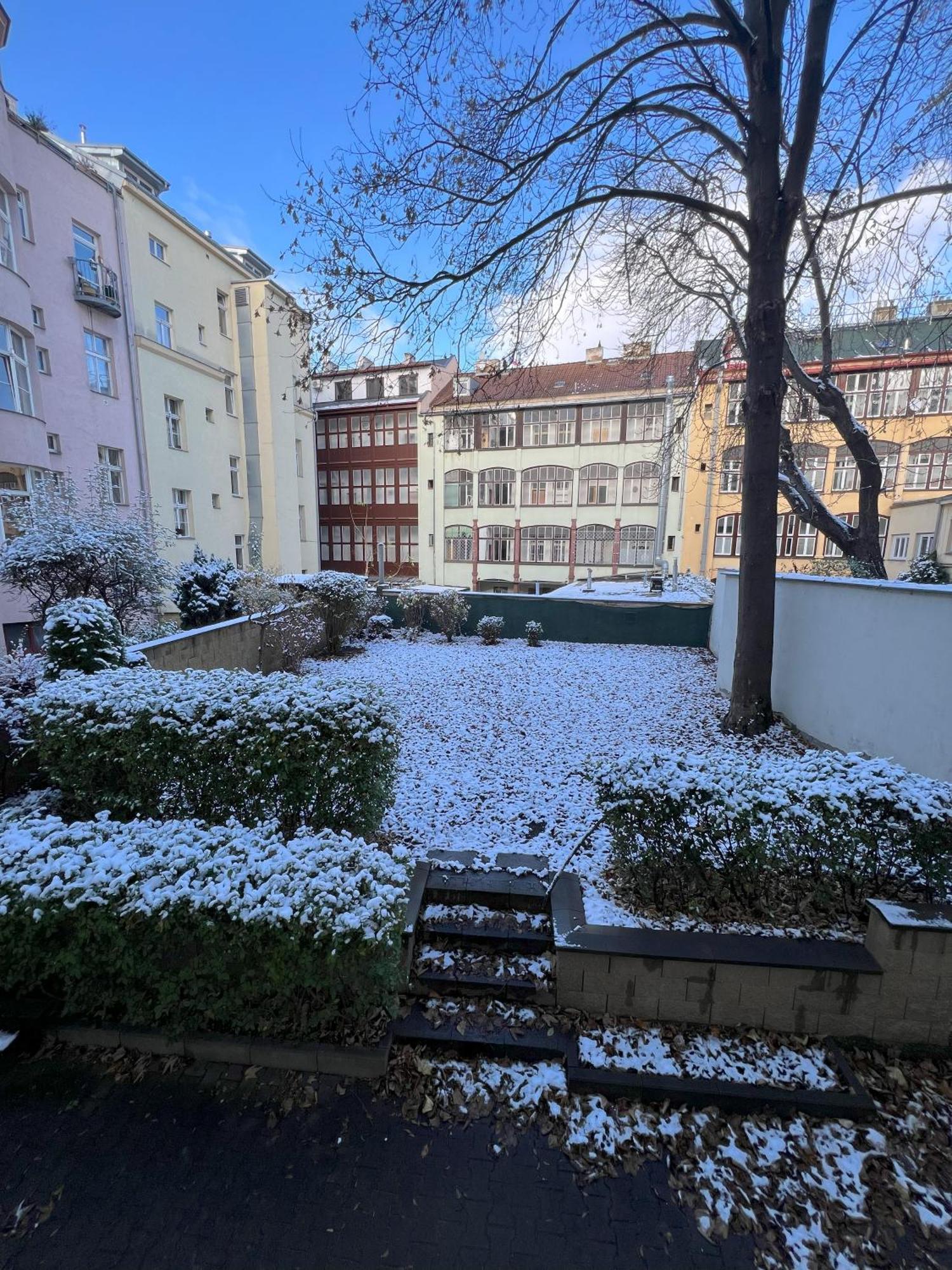 Cozy Garden Apartment In The Heart Of Prague Luaran gambar